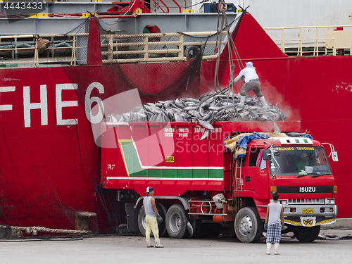 Image of Truck loading tuna in Gensan City, the Philippines