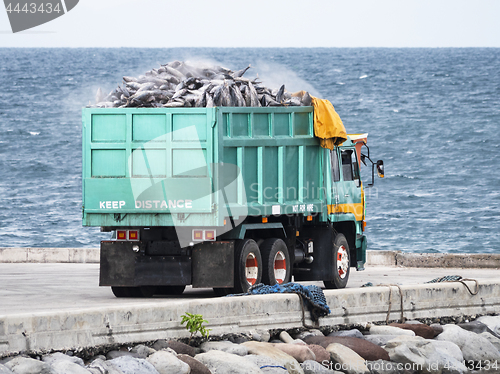 Image of Truck loaded with tuna in Gensan City, the Philippines