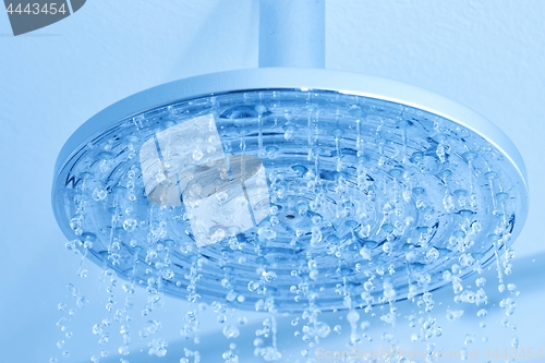 Image of Shower water flowing