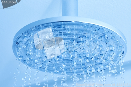 Image of Shower water flowing