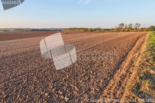 Image of Agircutural field in late sunlight