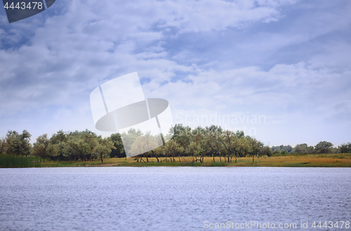 Image of View on Rhine river with trees