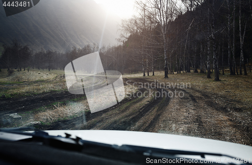 Image of Road trip through the nature of Europe. Car point of view