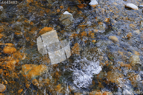 Image of River bed with rocky stones