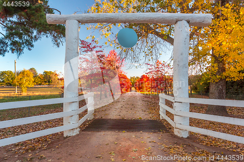 Image of Tree lined driveway to rural farm land