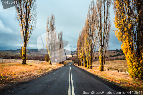 Image of Country road in Autumn