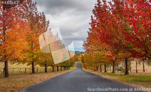 Image of Autumn colours in Hartley