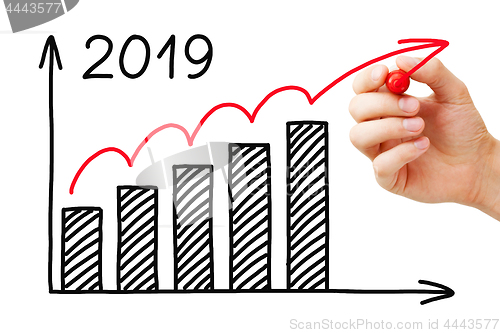 Image of Business Growth Graph 2019 Concept