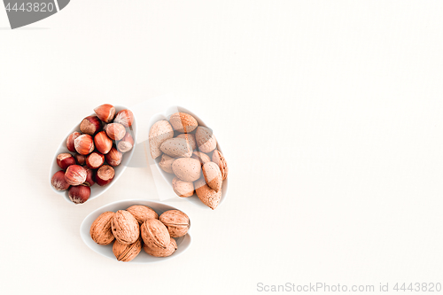 Image of Plates with almonds, hazelnuts and walnuts