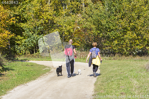 Image of Young couple are hiking through the forest with their pet dogs