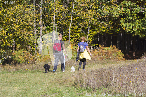 Image of Young couple are hiking through the forest with their pet dogs