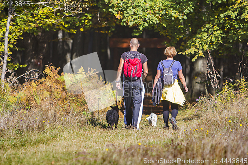 Image of Young couple are hiking through the forest with their pet dogs