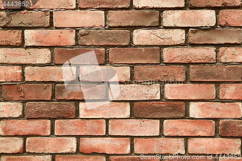 Image of Brick Wall Closeup