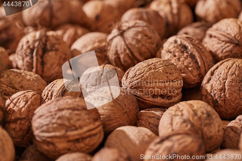 Image of Walnuts in a pile