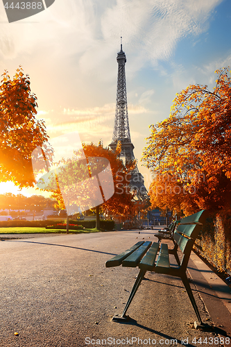 Image of Eiffel Tower in autumn