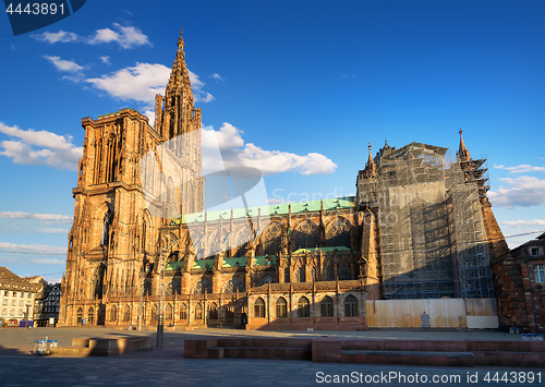 Image of Notre Dame de Strasbourg