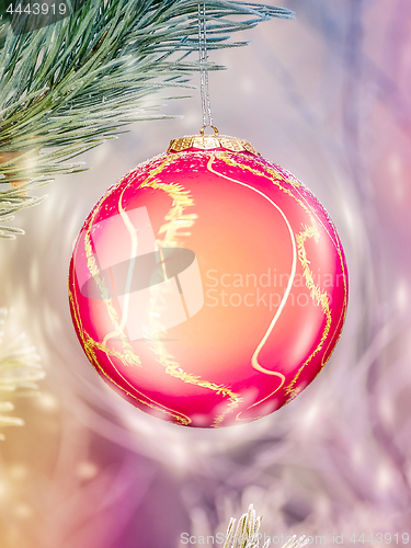 Image of Big Christmas ball on the fir branch. Place for inscription.