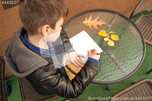 Image of Boy is doing homework outdoors