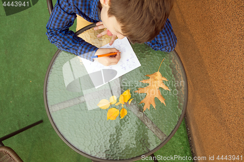 Image of Boy is doing homework outdoors