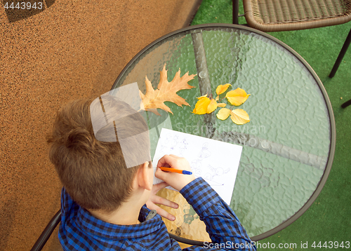 Image of Boy is doing homework outdoors