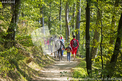 Image of Group of people walking by hiking trail in forest