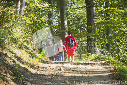 Image of Group of people walking by hiking trail in forest
