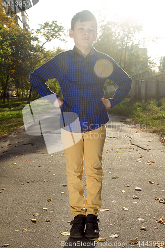 Image of Happy boy have fun in the autumn park