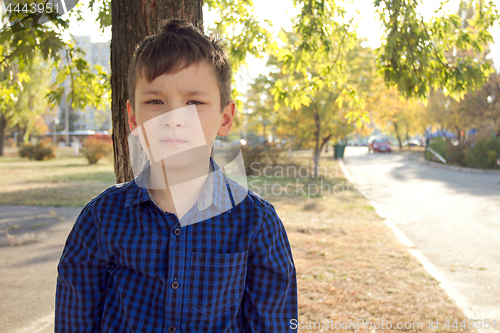 Image of Happy boy have fun in the autumn park