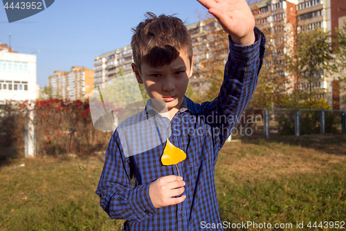 Image of Boy in the autumn park with yellow leaf