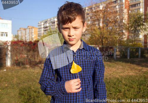 Image of Boy in the autumn park with yellow leaf