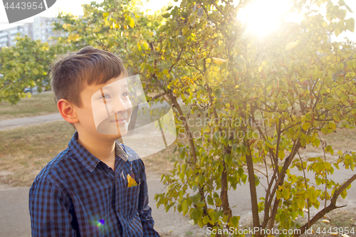 Image of Happy boy have fun in the autumn park