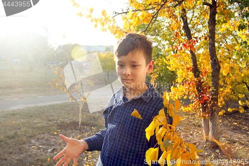 Image of Happy boy have fun in the autumn park