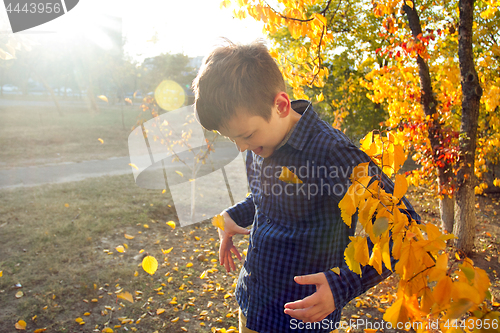 Image of Happy boy have fun in the autumn park