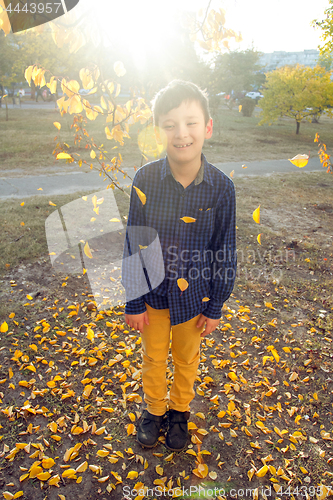 Image of Happy boy have fun in the autumn park