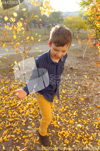 Image of Happy boy have fun in the autumn park