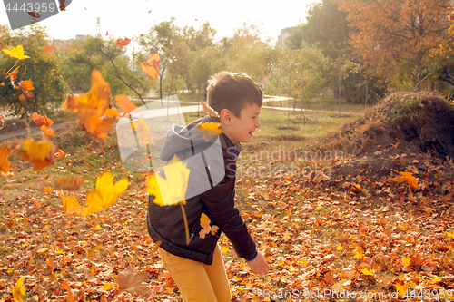 Image of Happy boy have fun in the autumn park