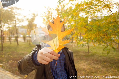 Image of Happy boy have fun in the autumn park