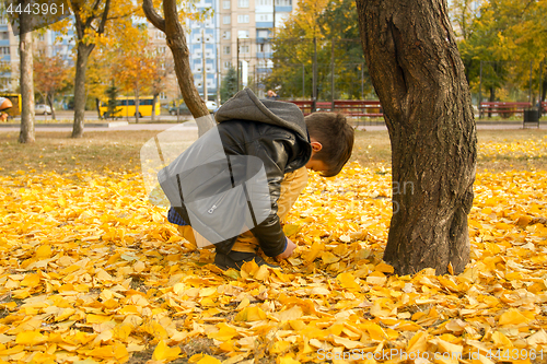 Image of Happy boy have fun in the autumn park