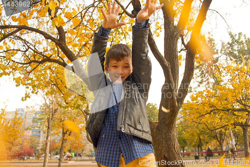 Image of Happy boy have fun in the autumn park