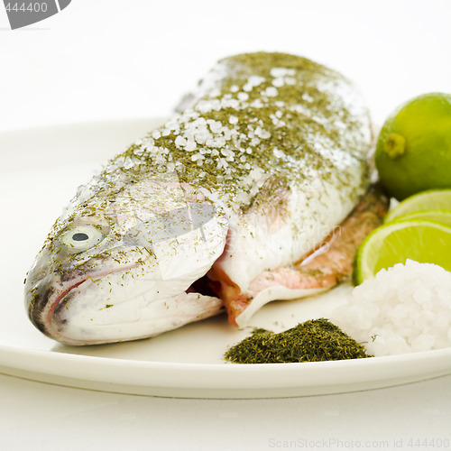 Image of Prepared salmon