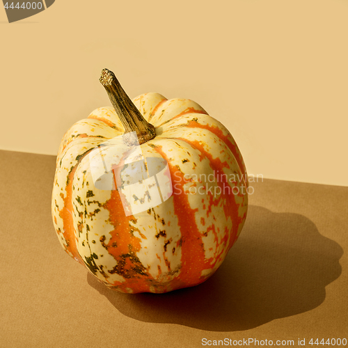 Image of pumpkin with long shadow