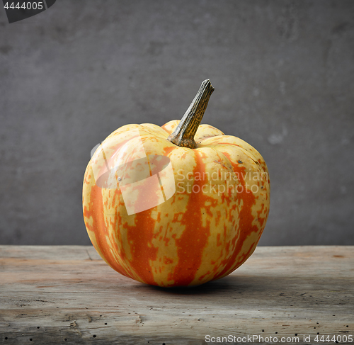 Image of yellow autumn pumkin