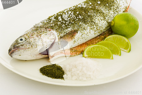 Image of Prepared salmon