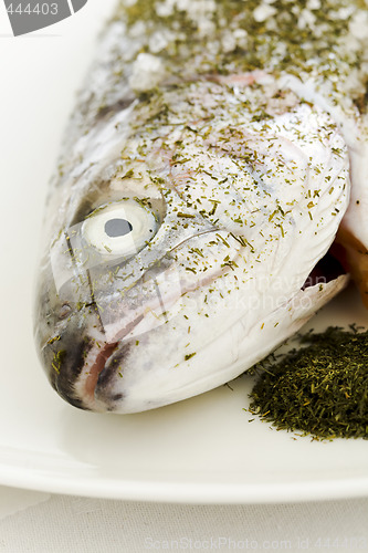 Image of Prepared salmon