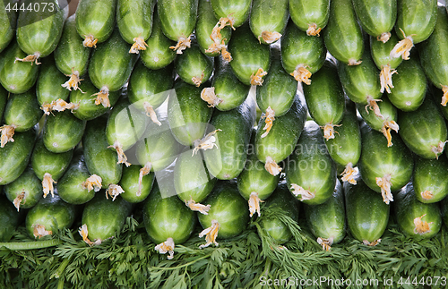 Image of Fresh cucumbers at the market