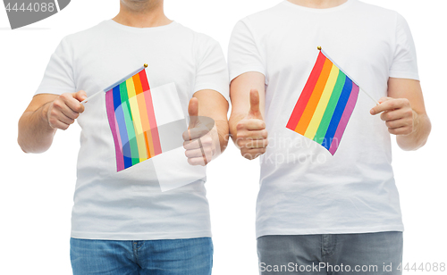 Image of male couple with gay pride flags showing thumbs up