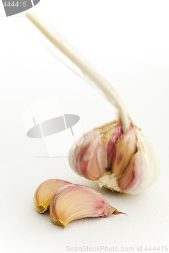 Image of Garlic