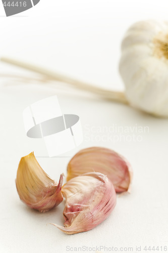 Image of Garlic