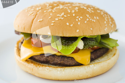 Image of Cheese burger