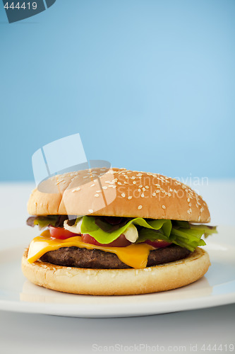 Image of Cheese burger